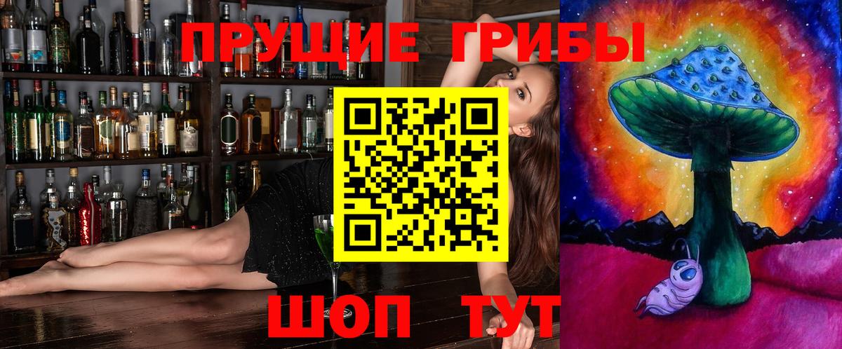 Озёрск  Галлюциногенные грибы прущие грибы  Вход с VPN 